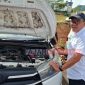 Doni Swabuana memeriksa kendaraan dinas di Lingkup Pemkab Lebong