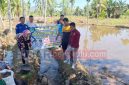 Pemdes Pungguk Pedaro bangun Irigasi Tersier