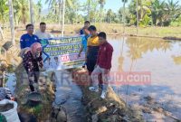 Pemdes Pungguk Pedaro bangun Irigasi Tersier