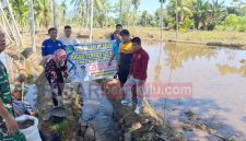 Pemdes Pungguk Pedaro bangun Irigasi Tersier