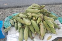 Jagung siap untuk dibakar di perayaan tahun baruu 2026