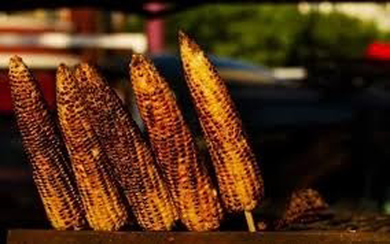 Jagung Bakar