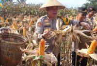 Kapolres Bengkulu Selatan, AKBP Awilzan, S.I.K, M.H,