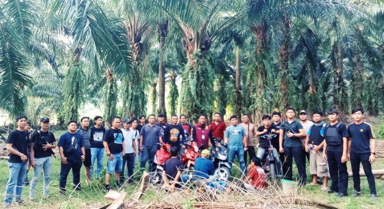 foto slider headline