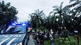  Polsek Manna Amankan Dua Pelaku
