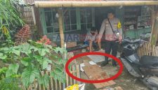 TKP Penganiayaan anak
