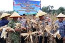 Panen Raya Serentak Kuartal II Tahun 2026