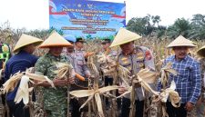 Panen Raya Serentak Kuartal II Tahun 2026
