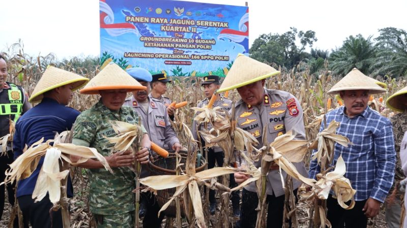 Panen Raya Serentak Kuartal II Tahun 2026